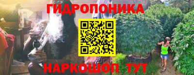 молекула духа Заволжье