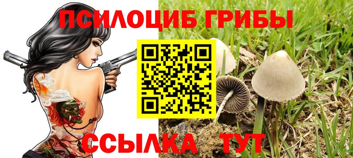 Галлюциногенные грибы мицелий Горячий Ключ