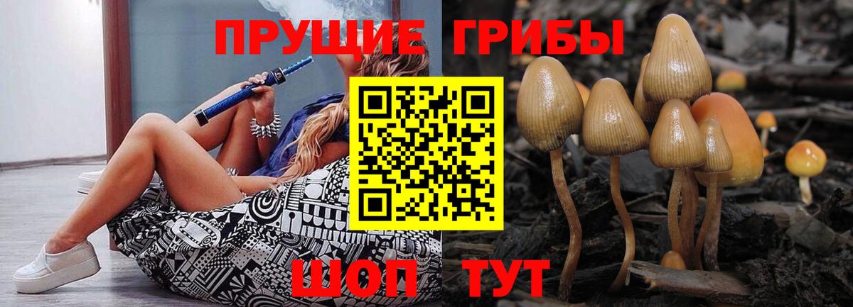 Псилоцибиновые грибы Magic Shrooms  Псилоцибиновые грибы GOLDEN TEACHER  Горячий Ключ  Вход с VPN 